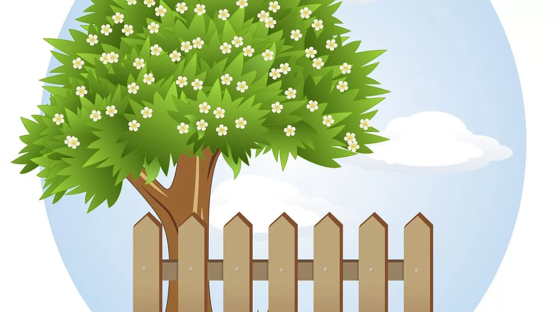 Welche Gartensichtschutzmöglichkeiten gibt es?